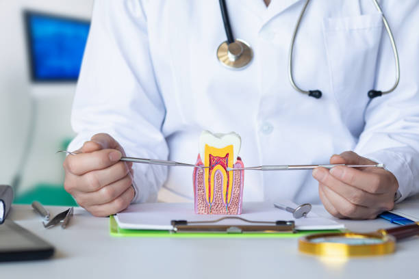 Best Broken Tooth Emergency  in Andrews, SC